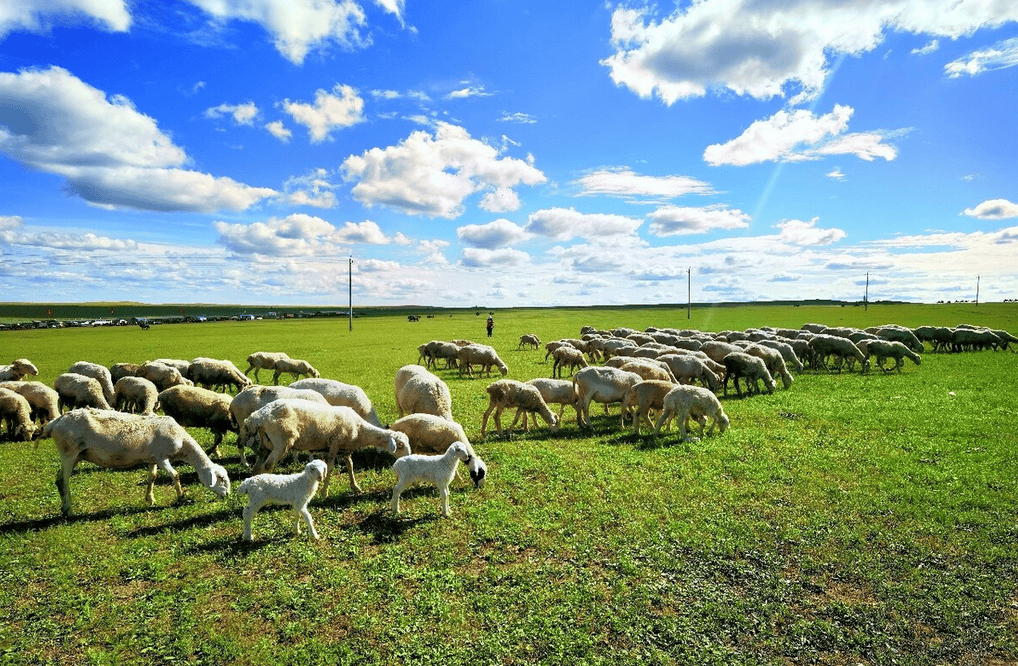 7cdc7e31349543c41e32838acddb2732.png 樂(lè)林丨讓每個(gè)人,樂(lè)享品質(zhì)涮烤生活